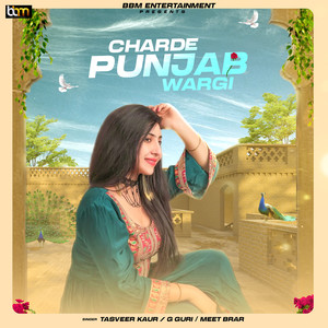 Charde Punjab Wargi