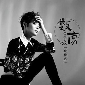 数伤 (DJ默涵版)封面