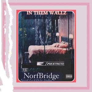 IN THEM WALLZ (feat. SPEAK LO & DEBE DOLLAZ) (Explicit)