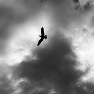 I Don't Wanna Say Goodbye