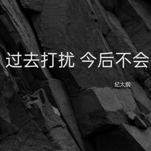 过去打扰了今后不会了 (Demo)