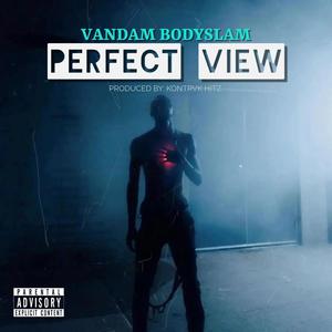 PERFECT VIEW (Explicit)