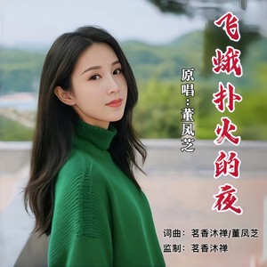飞蛾扑火的夜 (女版伴奏)