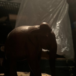 Bottom Line (Explicit)