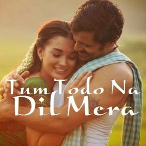 Tum Todo Na Dil Mera