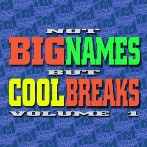 Not Big Names But Cool Breaks, Vol. 1