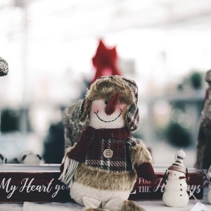 We Wish You a Merry Christmas