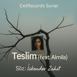 Teslim (feat. Almila)