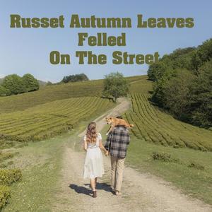 Russet Autumn Leaves Felled On The Street