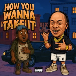 How You Wanna Take It (Explicit)