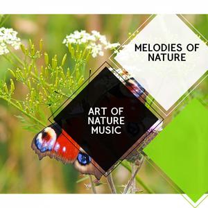 Art of Nature Music - Melodies of Nature