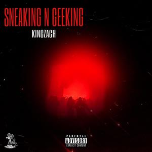 Sneaking N Geeking (Explicit)