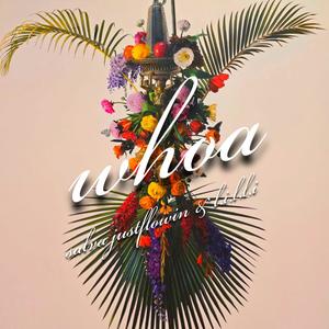 whoa (feat. L.I.L.L.I)