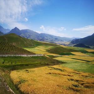 萤火虫 (轻音乐)