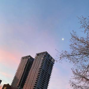 Rock All Night (feat. Lando L, Behbee Jesus & MW Cook) (Explicit)