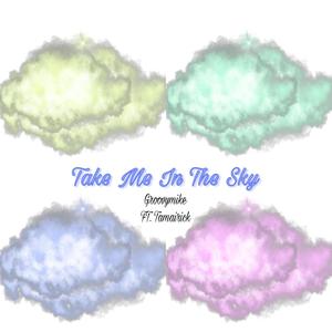 Take Me In The Sky (feat. Tamairick) [Explicit]