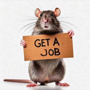 Get A Job