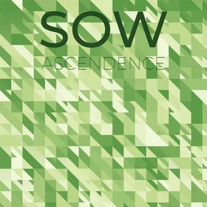 Determine Unsuccessful