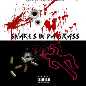 Snakes in da Grass (feat. Javn2900 & Khief) (Explicit)