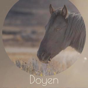 Doyen