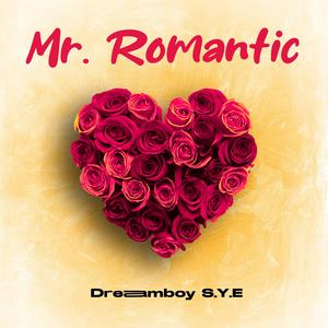 Mr Romantic