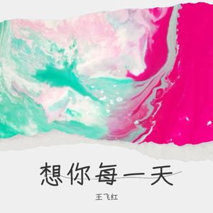 想你每一天