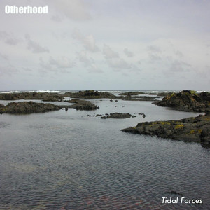 Tidal Forces