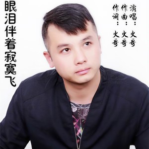 眼泪伴着寂寞飞