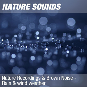 Nature Recordings & Brown Noise - Rain & wind weather