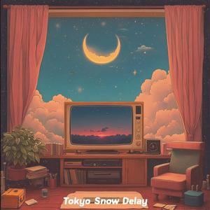 Tokyo Snow Delay