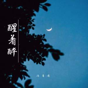 醒着醉 (我爱上你却没能把你留住)