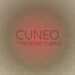 Cuneo Hydrofracturing