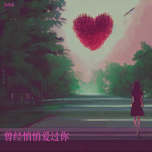 曾经悄悄爱过你