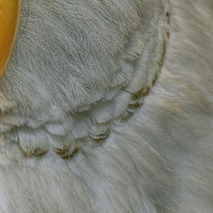 Andy Murray Was Through to the Third Round