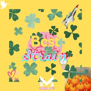Best Strain (Spend some time)