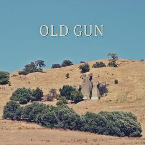 Old Gun