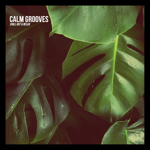 Calm Grooves