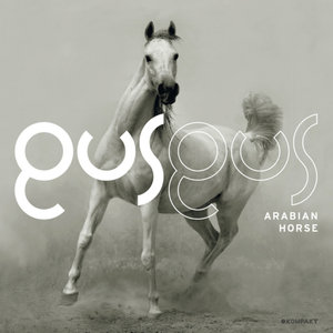 Arabian Horse (LoQuai Improvement House Mix)