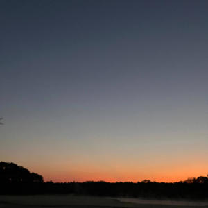 NO RUSH! (feat. avii)