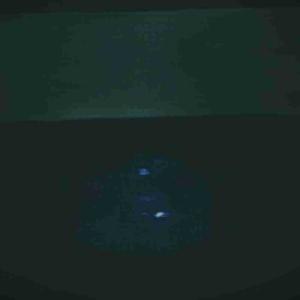 Global (Electronic/Dance)