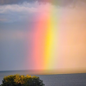 Reverence (feat. Matt Hewer & Mike Burn)