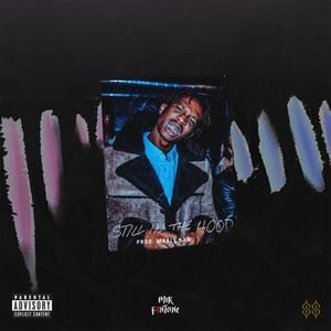 Still in the Hood (Explicit)