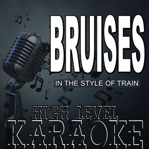 Bruises (伴奏)