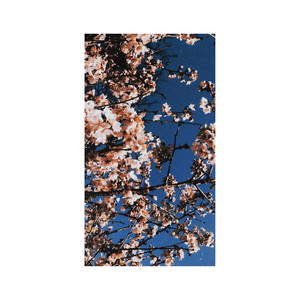 No Reality, Just Imaginations