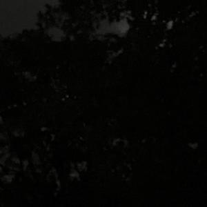 bringitback_v2 (feat. paula) (Explicit)