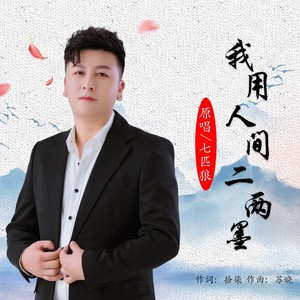 我用人间二两墨