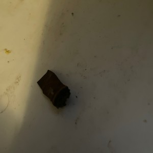 No Lie (feat. VYP Ac Duce)