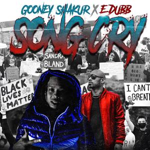 Song Cry (feat. Errol Westbrook) [Explicit]