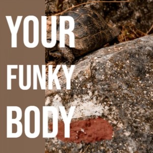 Rock Your Funky Body