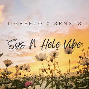 Sys N Hele Vibe (feat. Danwill Riddims) [Radio Edit]